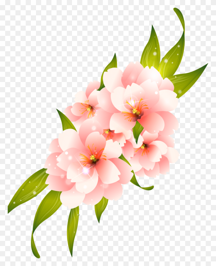 798x1001 Flower Clipart For Photoshop Flowers Vector Transparent, Plant, Blossom, Dahlia HD PNG Download