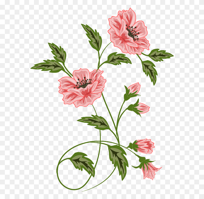 592x760 Flower Clipart Vector Transparent Flower Vector, Plant, Blossom, Hibiscus HD PNG Download