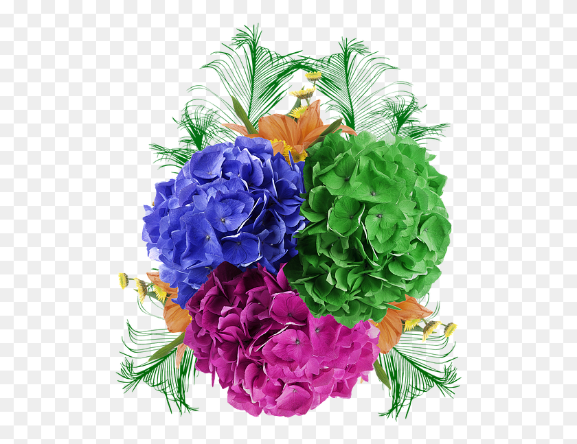 509x587 Descargar Png Flor De Clavo De Color Verde Púrpura Pétalos Hermoso Ramo De Flores, Gráficos, Diseño Floral Hd Png