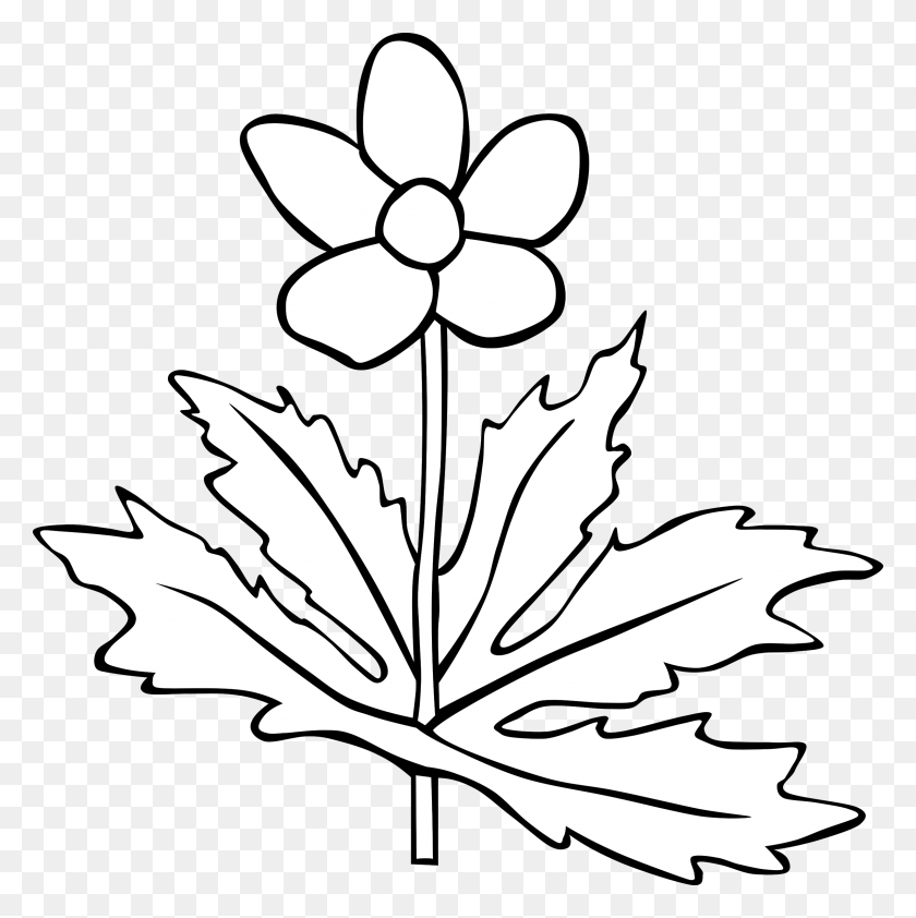 2391x2400 Flower Computer Icons Petal Common Daisy Plant Clipart Black And White, Leaf, Maple Leaf, Stencil HD PNG Download