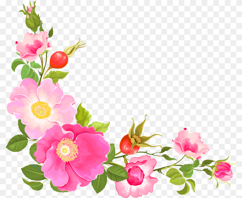 Flower Corner Design, Anemone, Plant, Petal, Rose Transparent PNG