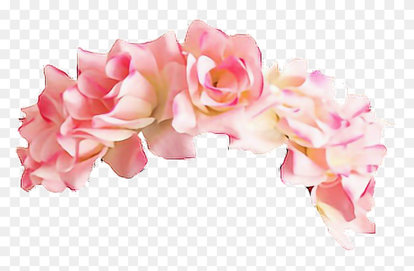 1025x645 Цветочная Корона Клипарт Оголовье Розовая Цветочная Корона, Растение, Лепесток, Цветение Png Скачать