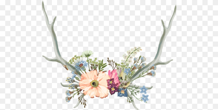 521x424 Flower Crown Tumblr Flower Crown, Antler, Flower Arrangement, Plant, Art Clipart PNG