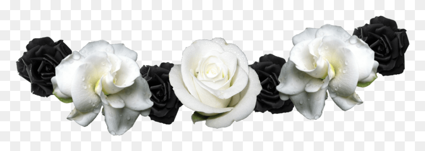 1083x333 Flower Crown Jadziadaxofficial Mpvbrrcwcrcfbng Black And White Flower Crown, Rose, Plant, Blossom HD PNG Download