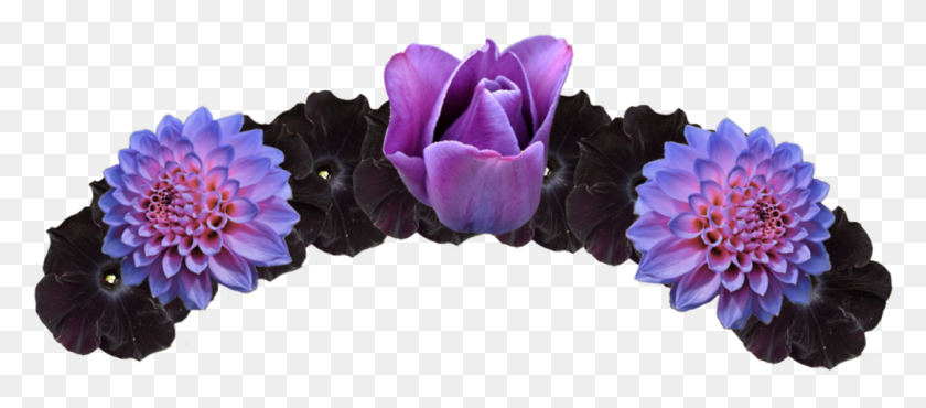 1081x430 Flower Crown Purple Red Transparent Background Flower Crown, Plant, Blossom, Petal HD PNG Download