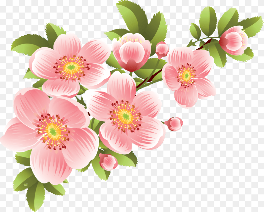 1338x1076 Flower Drawing Color, Anemone, Art, Floral Design, Graphics Transparent PNG