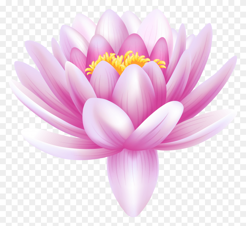 7809x7119 Flower Drawing Images Pink Lotus Flower Clipart Water Lily Drawing HD PNG Download