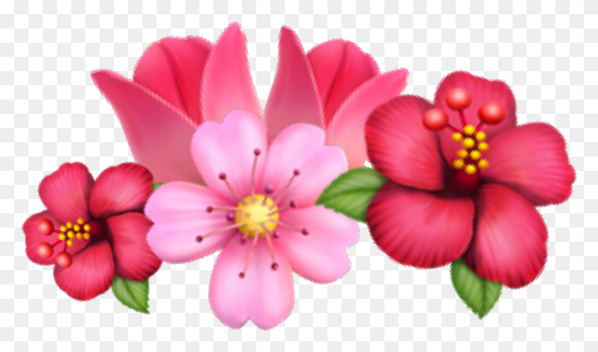 1024x572 Flower Emoji Sakura Tulip Crown Flowercrown Crownflower Rosa Glauca, Plant, Anther, Blossom HD PNG Download