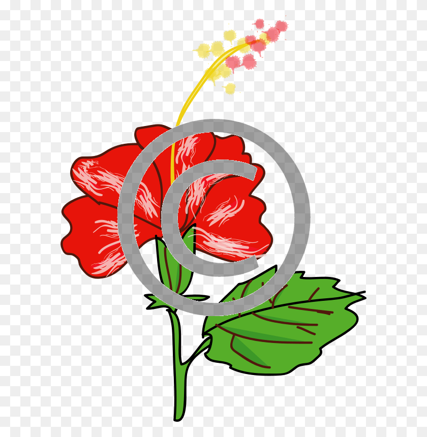 602x800 Flower Flower Cartoon, Plant, Blossom, Hibiscus HD PNG Download