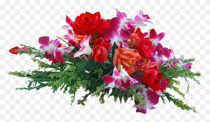 1429x788 Цветок Цветок Для Фотошопа, Растение, Герань, Цветение Hd Png Скачать
