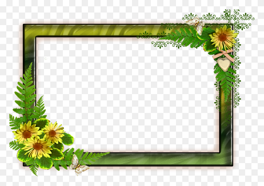 2144x1466 Flower Frame Format Frames Backgrounds Photo Frame Background, Plant, Graphics HD PNG Download
