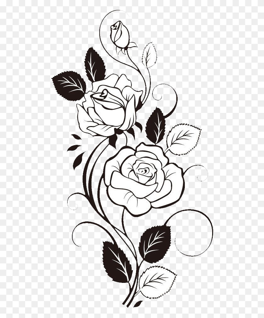 518x954 Flower Free Rose Flower Drawing Design, Graphics, Plant HD PNG Download
