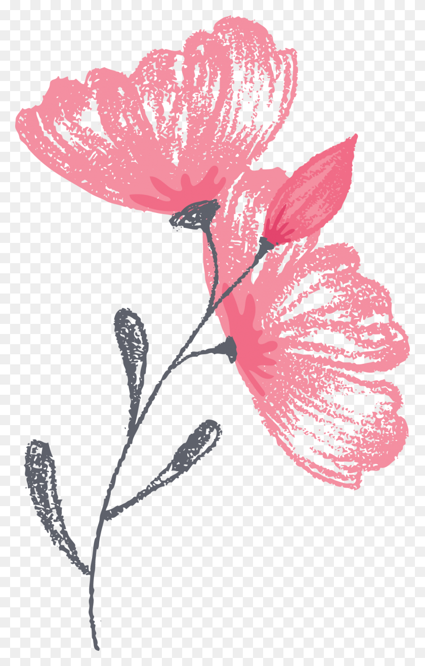 1151x1854 Цветок Графическая Иллюстрация, Растение, Лепесток, Цветение Hd Png Скачать
