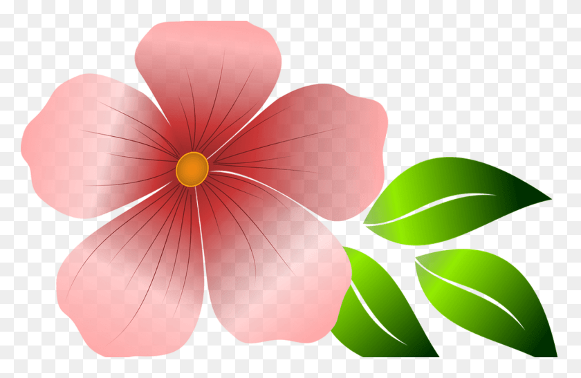 1368x855 Цветочная Графика Акварельные Цветы Векторы Psd, Растение, Герань, Цветение Hd Png Скачать
