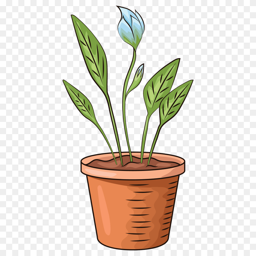 1920x1920 Flower In Pot Clipart, Leaf, Plant, Potted Plant PNG