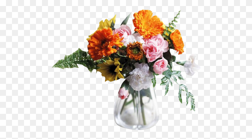 499x404 Цветок В Стакане Воды, Растение, Цветок, Букет Цветов Hd Png Скачать