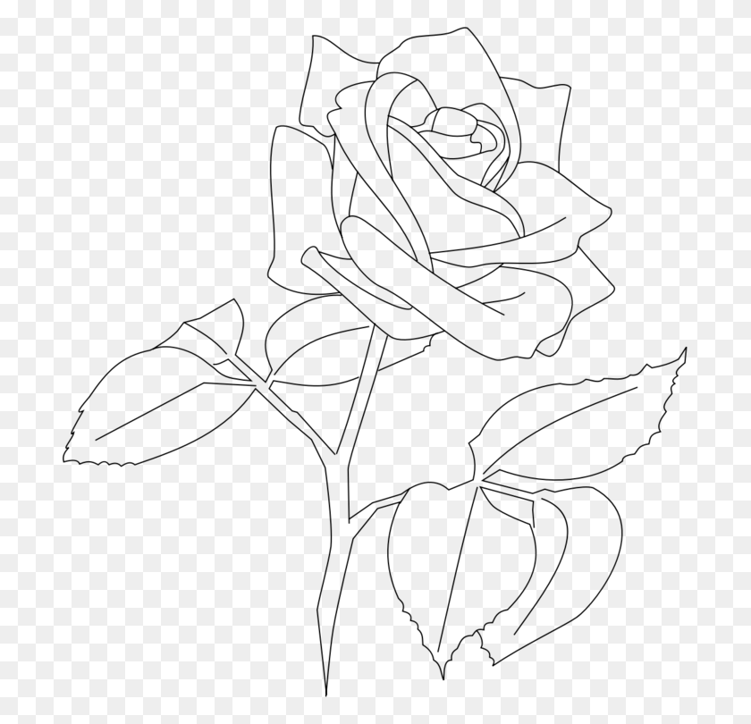 699x750 Flower Line Transparent Rose Line Art, Gray, World Of Warcraft HD PNG Download