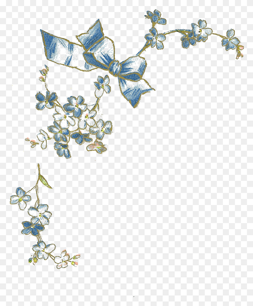 897x1099 Flower Minimal Vintage Forget Me Not, Pattern, Fractal, Ornament HD PNG Download