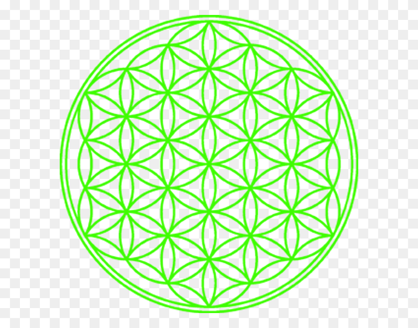 600x600 Flower Of Life For Crystal Grid, Green, Word, Text HD PNG Download