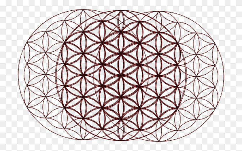720x464 Flower Of Life Optical Illusion Lebensblume Pattern, Rug, Stained Glass HD PNG Download