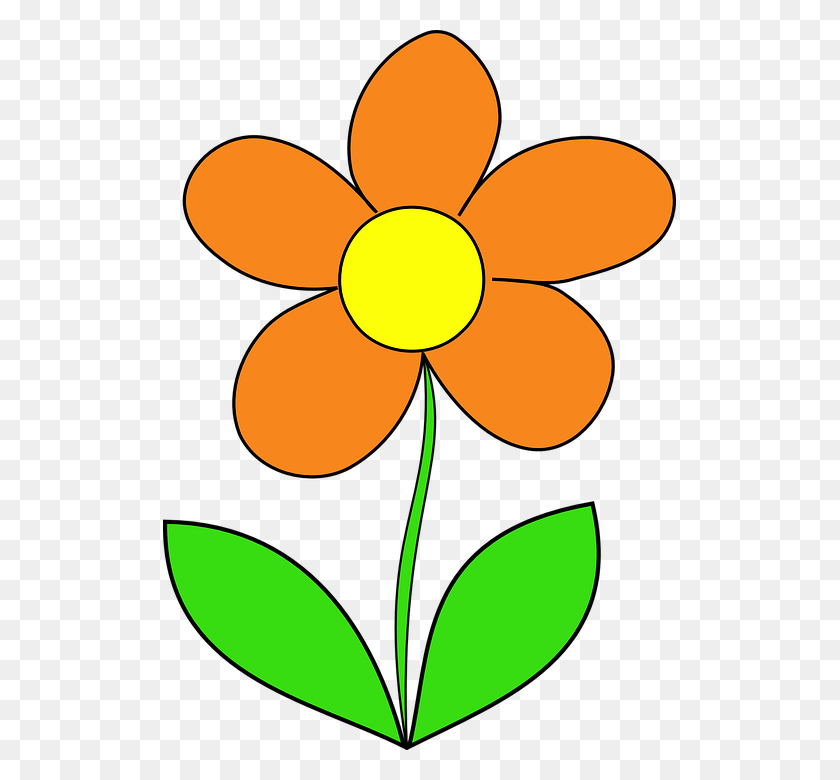 513x720 Flower Orange Leaf Orange Flower Clipart, Graphics, Floral Design HD PNG Download