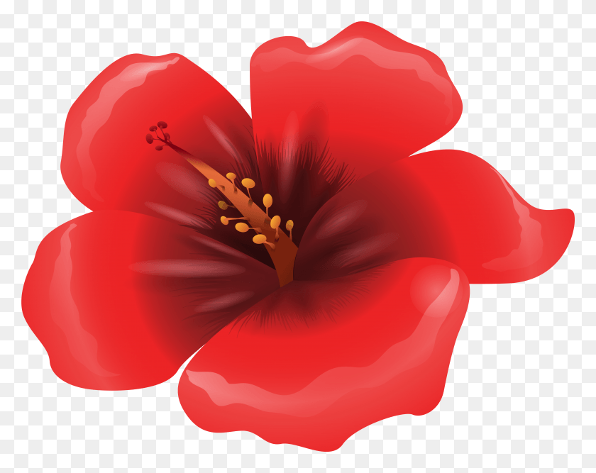 6163x4802 Цветочный Контур Клипарт Простой Цветок Большой Цветок Клипарт, Растение, Лепесток, Цветение Png Скачать