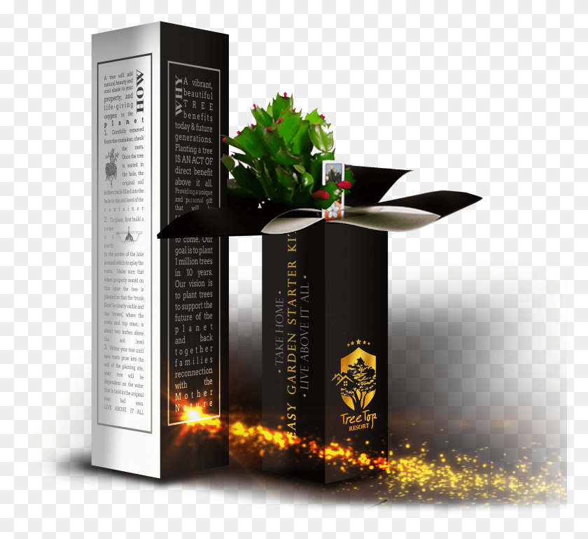 3756x3422 Flower Packaging Design HD PNG Download