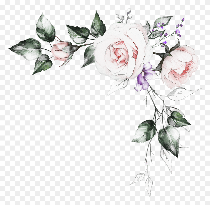 3611x3508 Flower Pen Drawing Watercolor Painting HD PNG Download