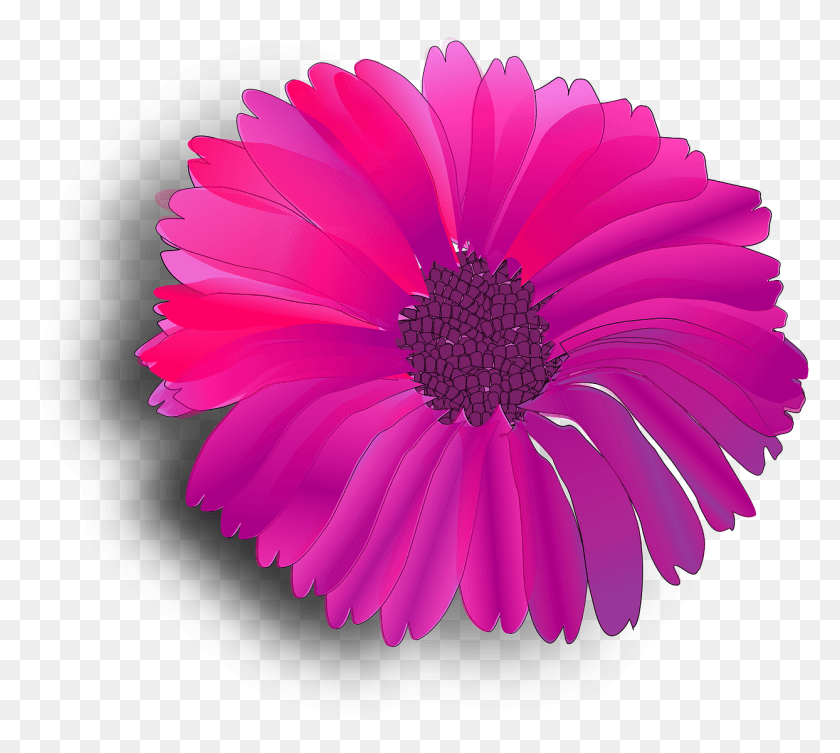 1244x1106 Flower Pink Fuchsia Pink Flower Clip Art, Plant, Daisy, Daisies HD PNG Download