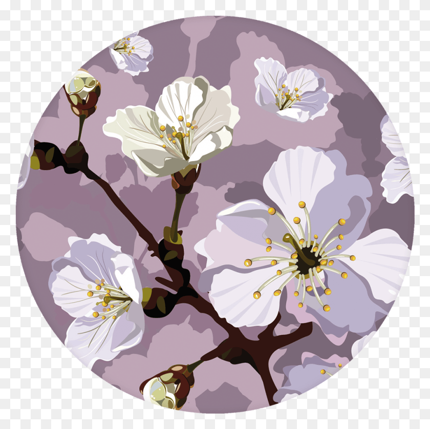 951x951 Flower Pop It Socket Transparent, Plant, Blossom, Cherry Blossom HD PNG Download
