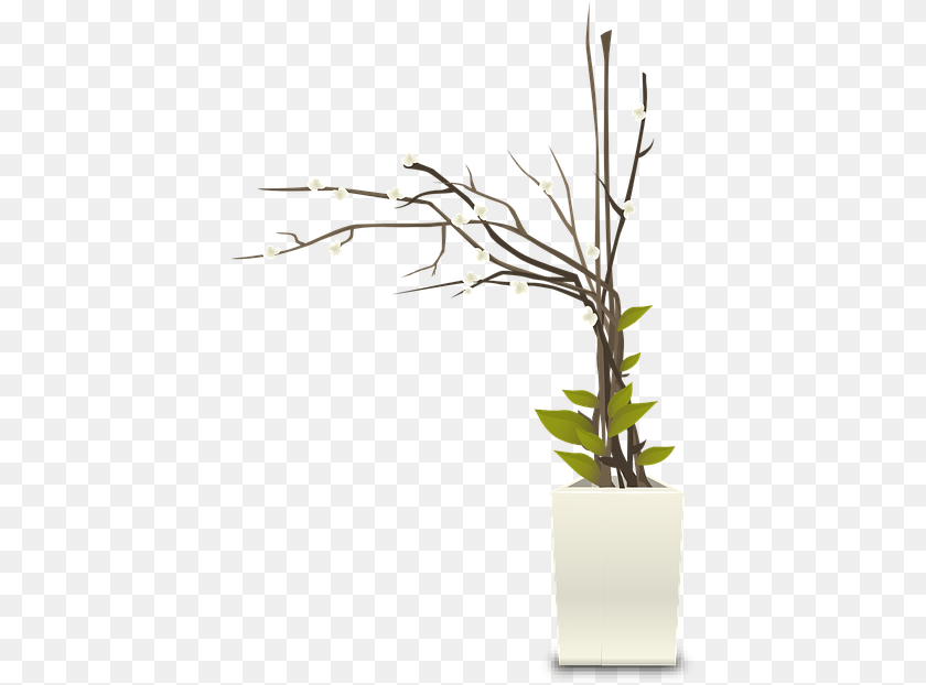 422x622 Flower Pot Pot Plant, Flower Arrangement, Ikebana, Potted Plant Transparent PNG
