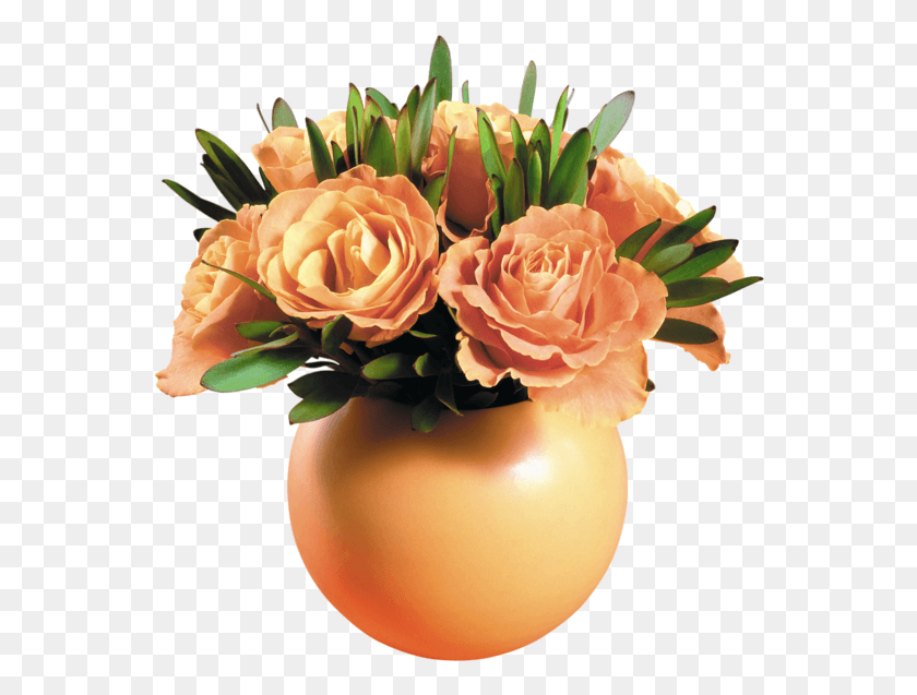 560x577 Flower Pot Transparent Background, Plant, Flower, Blossom HD PNG Download