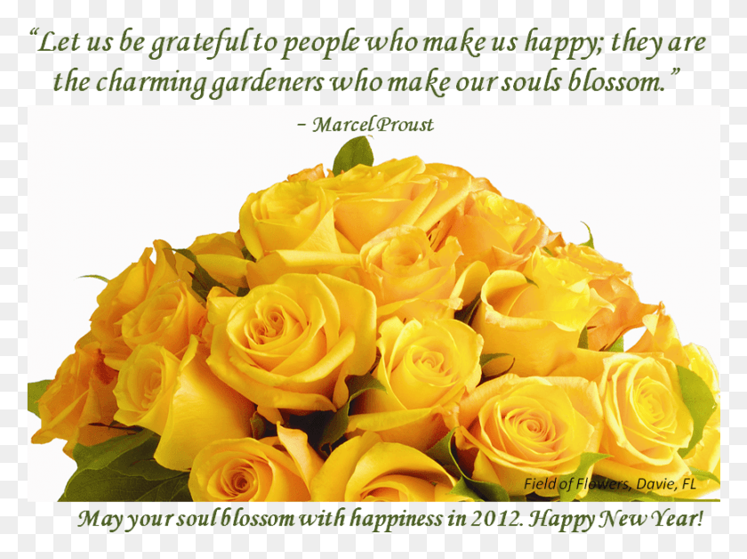 864x630 Flower Quotes About Gratitude Happy New Year Quote Roses, Plant, Blossom, Rose HD PNG Download