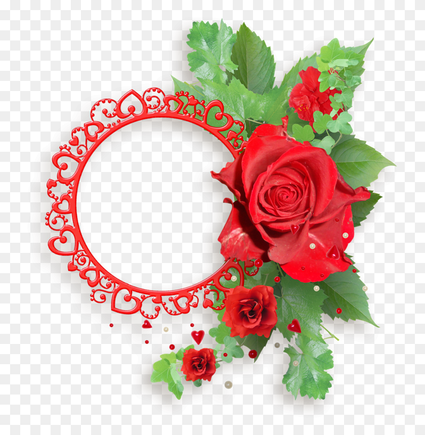 Flower Red Roses Frame, Plant, Blossom, Rose Descargar HD PNG