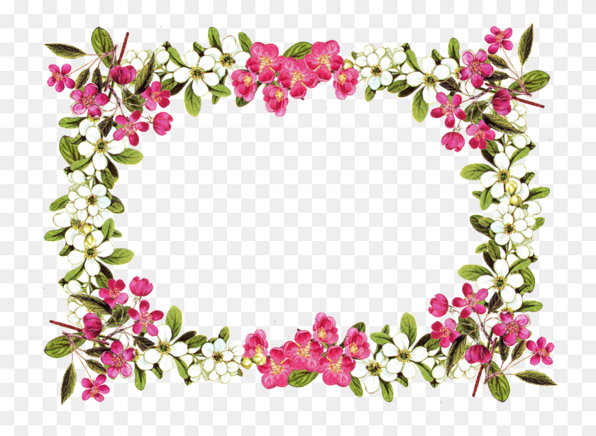 1586x1129 Flower Rose Clip Art Flower Frame Transparent Background, Plant, Floral Design, Pattern HD PNG Download