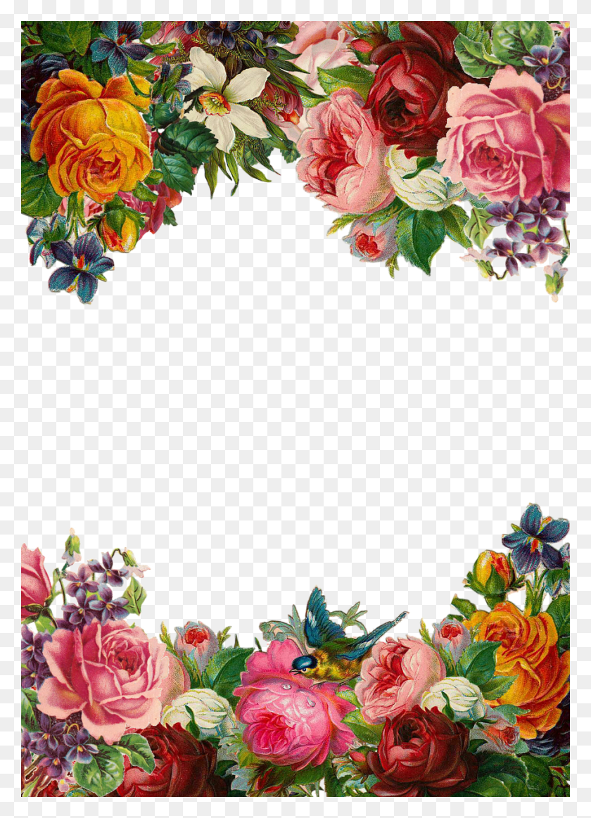 905x1280 Flower Rose Frame Collection Vintage Composition Beautiful Flower Border, Floral Design, Pattern, Graphics HD PNG Download