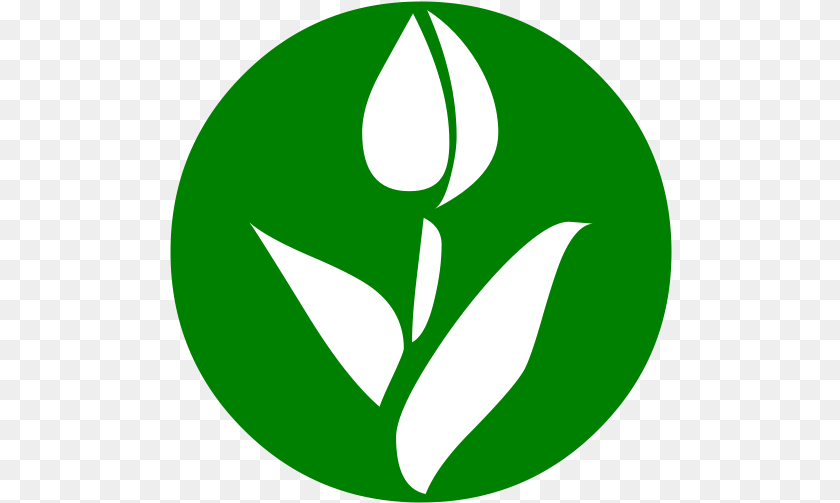 Flower Seeds Archives Beejwala Language, Leaf, Plant, Green, Herbal Transparent PNG