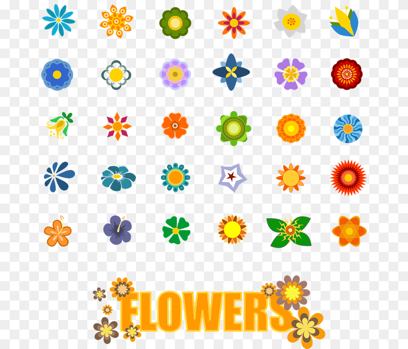701x720 Flower Shapes Elements Symbols Nature Icons Quyn S D Thng, Pattern Sticker PNG