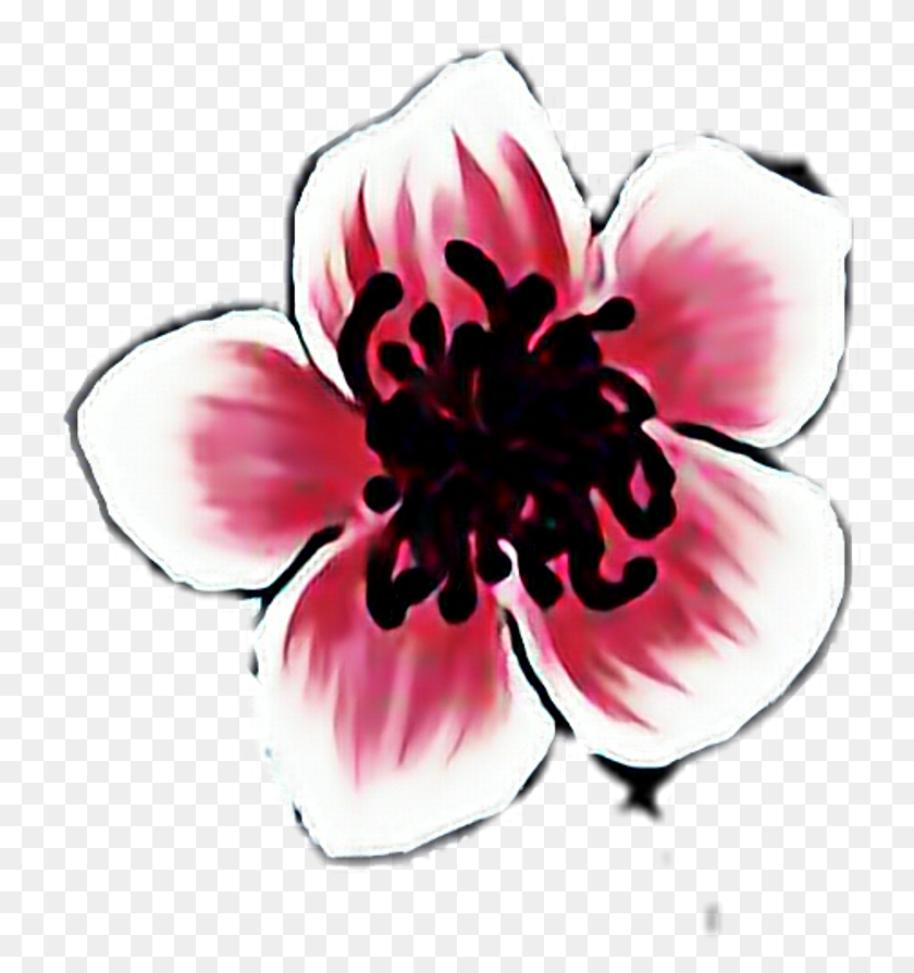 768x835 Flower Sticker Artificial Flower, Plant, Blossom, Hibiscus HD PNG Download