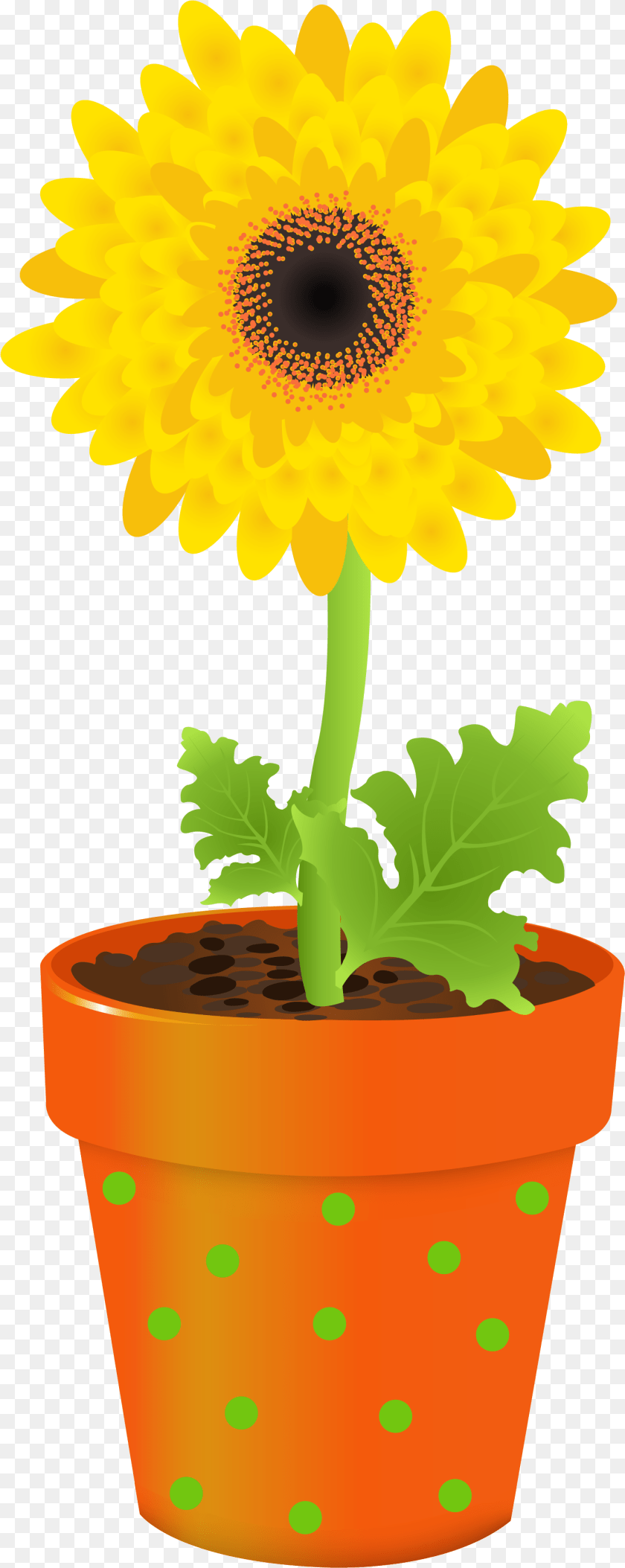 1412x3542 Flower Stock Photography Clip Art Transprent Clip Art, Daisy, Plant, Potted Plant, Sunflower Sticker PNG