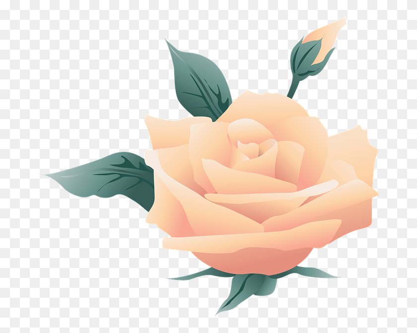 691x611 Flower Symbol Rose Nature Floral Love Plant Logos De Spa Vintage, Blossom, Petal, Carnation HD PNG Download