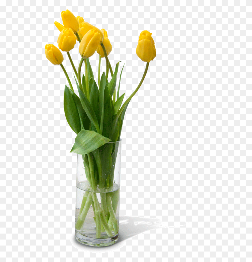 543x815 Flower Vase Free Flower Vase, Plant, Blossom, Flower Arrangement HD PNG Download