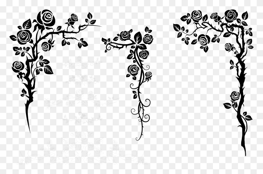 4644x2951 Flower Vine Silhouette Nature Border Design Drawing, Outdoors, Night, Gray HD PNG Download