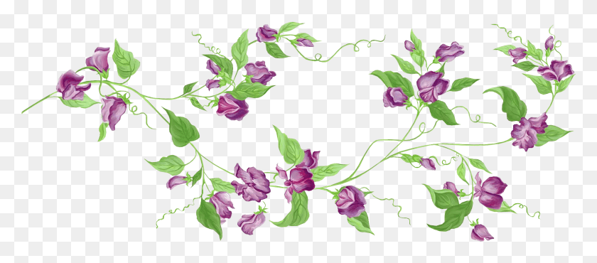 1801x717 Flower Vine Transparent Background, Plant, Floral Design, Pattern HD PNG Download