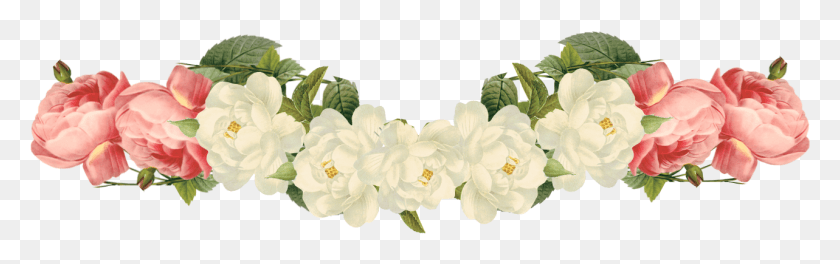 1283x336 Flower Vintage Border, Plant, Blossom, Acanthaceae HD PNG Download