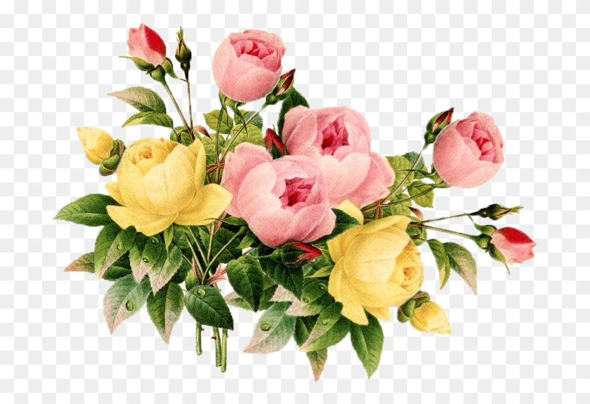 694x516 Flower Vintage Vintage Flowers Clipart, Plant, Blossom, Flower Arrangement HD PNG Download