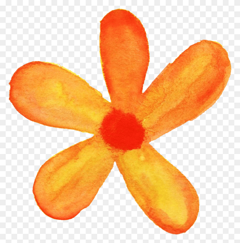 962x977 Flower Watercolor Orange Flower Watercolor, Plant, Snake, Reptile HD PNG Download