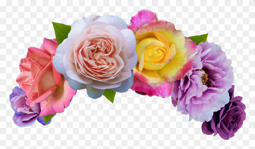1024x564 Цветок Корона Цветок Корона Цветы Повязка На Голову Роза Голова Цветок Корона, Растение, Цветение, Цветочная Композиция Hd Png Скачать