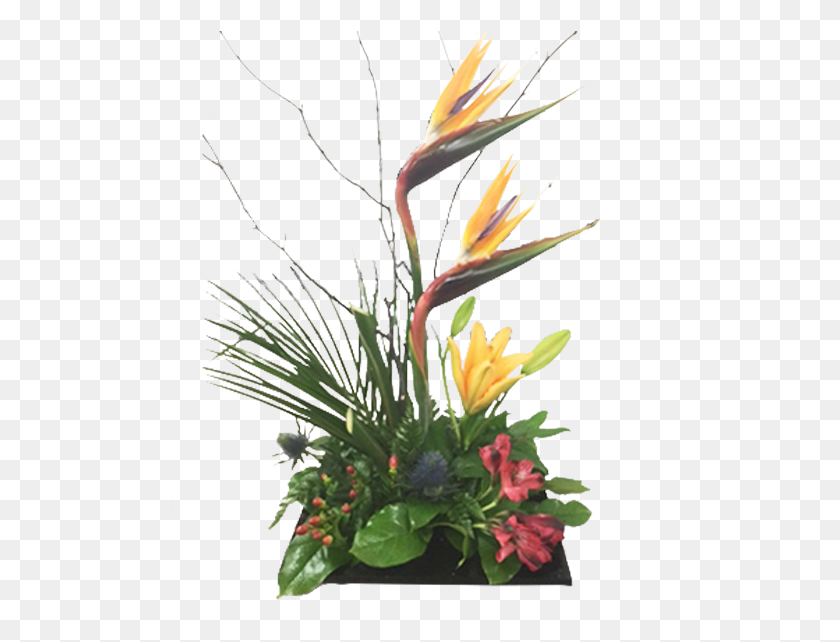 503x582 Flowerfloristrybird Of Paradiseplantflower Arrangingfloral Bouquet, Plant, Ikebana HD PNG Download