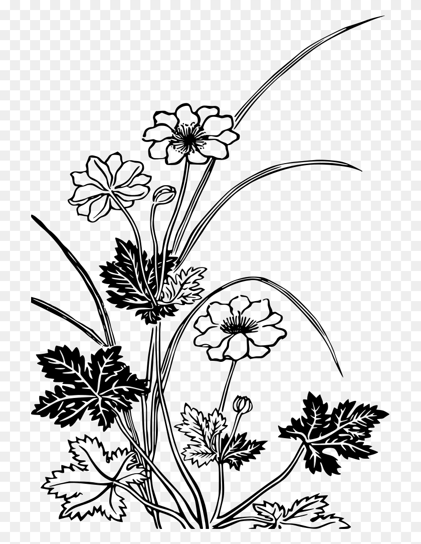 715x1024 Flowering Plants Black And White, Gray, World Of Warcraft HD PNG Download